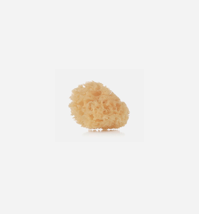 NATURAL SPONGE FOR BABY HYGIENE by Jané